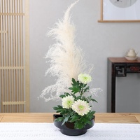 Kenzan 40mm Multi Spécification Floral Fleur Titulaire Grenouilles Ash Pin Grenouille Ikebana Outils