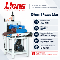 Machine à poncer à bande pour le travail du bois LIONS, largeur 300, 400, 600 mm avec 2 ou 3 rouleaux de pression