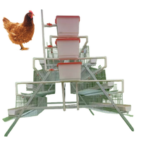 Soluciones para Jaulas de Pollos en Estado Nuevo para la Producción de Carne y la Optimización de Granjas
