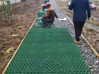 Usine-Pedigree Perméable Paver Plasticgrass Grille pour Jardin et Parking Slope Greening Geocells