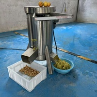 Industriële grootschalige fruit- en groentepulp- en pureermachine van roestvrij staal, horizontaal, 220V, capaciteit 20kg/u