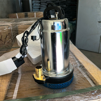 Pompe Submersible Portable Électrique en Fonte avec Télécommande Sans Fil, Alimentation par Batterie Lithium Mobile pour Irrigation Agricole