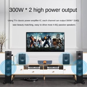 Amplificateur PRO haute puissance 2.1 canaux Entrées équilibrées véritables Caisson de basses et haut-parleurs satellites Home cinéma - Product Image 3
