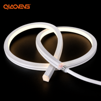 Bande néon à émission latérale en gros 24V USB 2025 168 LED/m L10*H10mm 3000K Blanc Chaud Ra80 IP68 Rouleau de 5m Direct Usine