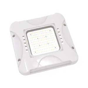 Shenzhen Technology ETL FCC NOM 100W Led Canopy Light for Gas Station