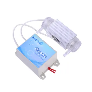 AMBOHR CDT-300 400mg/h AC/DC Small Ozone Generator Tube With Power Supply For Water Ozonator