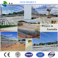 Garage pour voiture en structure d'acier, prix bas, structure en acier léger, garage pliable portable, entrepôt en structure d'acier