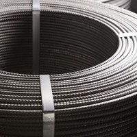 Fil galvanisé Q195 Q235 Q275 Q345 Fil galvanisé à faible teneur en carbone Ms Steel Wire Rod