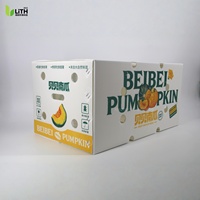 Boîte en plastique ondulé PP pour citrouilles, empilable, recyclable, de qualité alimentaire, légère, étanche, réutilisable, emballage pour produits frais