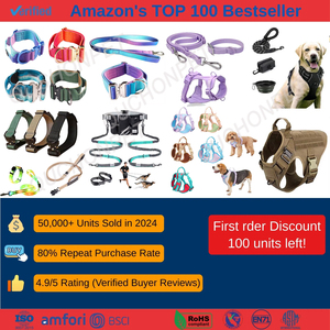 2026 NEW Fashion Walking Training <b>Tool</b> Durable Pet Leash Comfortable Padded Handle Slip Lead Adjustable Nylon Dog Rope Leash - Product Image 6