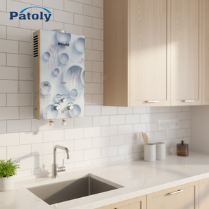 Calentador de Agua Instantáneo de <span class=keywords><strong>Gas</strong></span> <span class=keywords><strong>Natural</strong></span> para Baño y Cocina, Montado en la Pared, con Intercambiador de Calor de Cobre para Uso Doméstico - Product Image 1