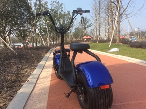 E-Scooter EH01 Mit Zulassung E-Bike Elektro Scooter City Roller 60V 12AH/20AH 1000W/2000W Citycoco - Product Image 6