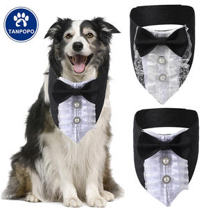Tanpopo Vintage perro lujo <span class=keywords><strong>Collar</strong></span> De Acero Inoxidable Por Mayor boda esmoquin traje Bandana encaje con perlas Cierre de cinta mágica - Product Image 1