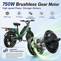 D55 Elektrikli Kargo Bisikleti 20 inç Şişman Lastik 48V 750W Fırçasız Motor Alüminyum Gövde Entegre Bataryalı Teslimat E-Bisikleti