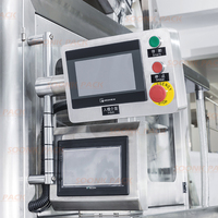 Machine d'emballage automatique de glaçons et de bâtonnets glacés 1kg 2kg 5kg