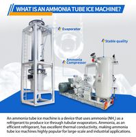 Machine à glace industrielle automatique de 100 tonnes pour la production de glace en tubes, idéale pour l'industrie