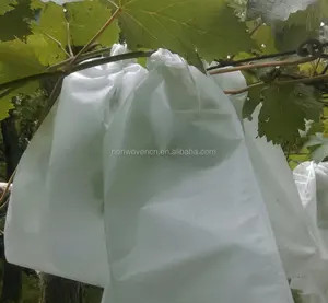 Tas pertanian buah kain Non-Woven tas pelindung tumbuh buah mangga