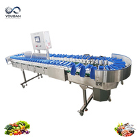 Rotatieband weegsorteermachine voor fruit, geschikt voor kersen, bosbessen, kiwi's, appels, granaatappels en zeevruchten.