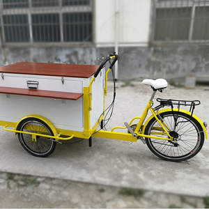 Triciclos eléctricos plegables automáticos portátiles 2025, carros de comida personalizados móviles, triciclo de carga de 3 ruedas - Product Image 5