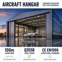 Hangar para Aviones Personalizado, Estructura de Acero, Instalación de Aviación, Proyecto Aeroportuario, Almacenamiento y Mantenimiento de Aeronaves