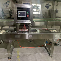 Machine automatique de marquage à chaud et d'impression pour boulangerie, neuve, 220V, pour la fabrication de gâteaux, de pains, de pâtisseries et d'aliments