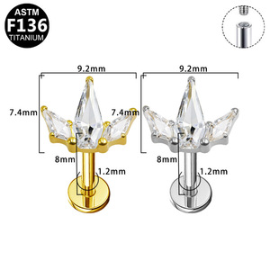 <b>Titanium</b> <b>Stud</b> Earrings Hexagon Zircon Crystal Ear Jewelry For Everyday Wear ASTM F136 <b>Titanium</b> - Product Image 3