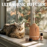 Diffuseur d'arômes ultrasonique portable, mignon, à thème animal, écologique, avec éclairage LED, humidificateur, faible bruit 35 dB, sans eau, automatique