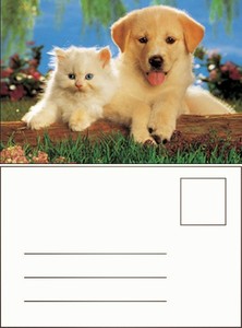 Promocionais Gift 3d <span class=keywords><strong>Lenticular</strong></span> Impresso Plastic Picture - Product Image 4