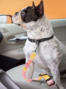 Laisse élastique rétractable à dégagement rapide pour animaux de compagnie ceinture de sécurité de siège de voiture en Polyester Durable pour <span class=keywords><strong>chiens</strong></span> motif solide - Product Image 5
