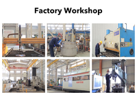 Ligne de production entièrement automatique de frites surgelées et de chips/bâtonnets de pommes de terre Sensitar, norme européenne, contrôle PLC, multi-tension
