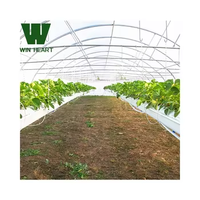 Nueva Lona Grande de Polietileno de Doble Capa con Protección UV para Invernadero, para Agricultura Hidropónica, Garantía de 15-20 Años, Estilo Gótico