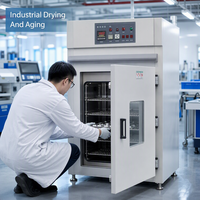 Four de séchage industriel, four de laboratoire avec contrôleur de température numérique et fenêtre d'observation pour le séchage et le durcissement