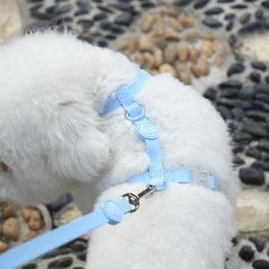 Harnais pour chien en PVC rose imperméable et réglable, laisse de marche rembourrée solide et tendance, fermeture à bouton, logo, collier de célébrité d'Internet, animaux de compagnie - Product Image 3