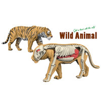 Sciences naturelles éléphant tigre vache cheval modèle bricolage animal squelette jouet