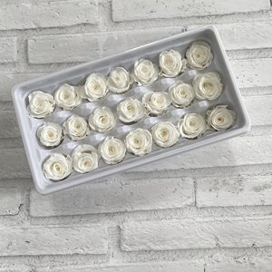 Testa di Rosa Naturale Conservata di Grado A, 2-3 cm, Multicolore, Fiore Reale Eterno per Cupola di Vetro, Confezione Regalo Fai-da-Te, Ornamento per la Casa - Product Image 5