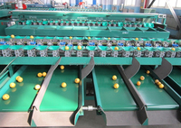 Goede Prijs Automatische Fruit En Groente Gewicht Sortering Machine Auto Sorteerder Grader Van Groenten En Fruit Te Koop