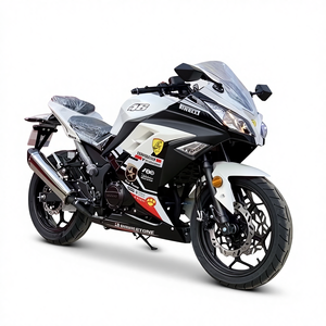 Petite <span class=keywords><strong>moto</strong></span> électrique à essence Ninja 250Ch Horizon Spring Breeze SrH2 à deux cylindres R3 Voiture de sport V6 EFI - Product Image 4