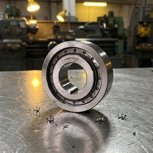 SUMA FXN31-17/60 Backstop Clutch One Way Sprag <b>Bearing</b> for Pumps FXN Series - Product Image 2