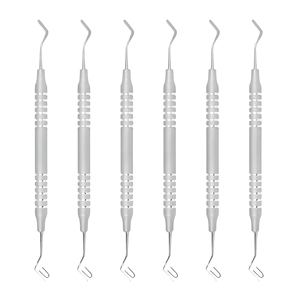 Juego de Instrumentos Dentales Profesionales para Restauraciones de Composite, Acero Inoxidable, Agarre Ergonómico, Proveedor Mayorista - Product Image 1