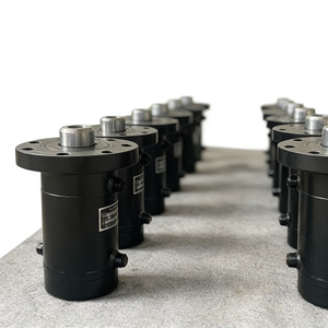 bibo Heavy-Duty Hydraulic Cylinder for Petrochemical Equipment and Hydraulic Log Splitter Applications - Product Image 4