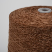 High Quality 10NM Polyester Chenille Yarn New Fancy Yarn for Fabric Enhancement