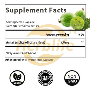Cápsulas de Amla OEM ODM 500mg - Apoyo Digestivo, Vitamina C Natural y Antioxidantes para el Apoyo Inmunológico, Vitalidad y Bienestar, Vegano - Product Image 3