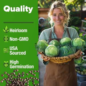 Cultivado en casa 7 Heirloom Non-GMO Vegetal Herb Golden AcreBokChoySavoy Michihili Red Acre Copenhagen Market Garden Supplies - Product Image 6