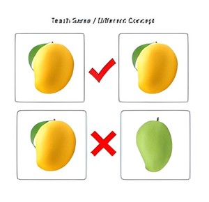 Libro de aprendizaje de emparejamiento de imágenes, libro de actividades de clasificación de tarjetas de frutas para niños pequeños y preescolares, desarrolla la percepción visual en los niños - Product Image 6