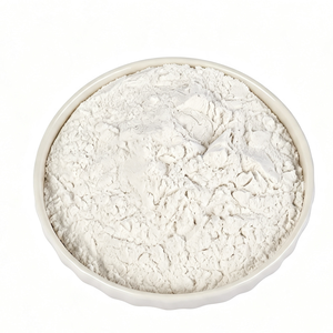 Poudre d'argile <span class=keywords><strong>diatomée</strong></span> multi-usages, agent filtrant, agent <span class=keywords><strong>de</strong></span> remplissage, adsorbant SiO2 85% 25kg/sac pour le traitement <span class=keywords><strong>de</strong></span> l'eau et les revêtements - Product Image 1