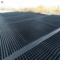 Planche de drainage alvéolée en PEHD avec étanchéité pour toit végétal et jardin