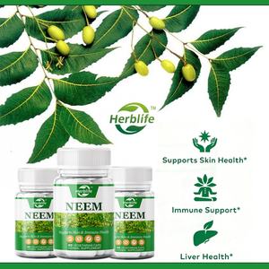 Cápsulas de Hoja de Neem de Marca Privada OEM ODM 500 mg - Suplemento Herbal - Apoya la Salud de la Piel, el Sistema Inmunitario y el Hígado, Vegano - 60 Porciones - Product Image 3