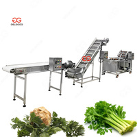 Gelgoog Generator ozon 200kg/jam, mesin pembersih gelembung udara untuk pencuci buah dan sayuran