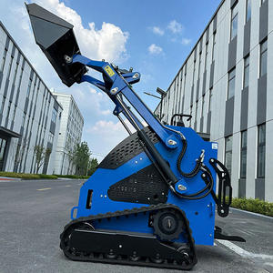 لودر صغير بمحرك ديزل معتمد من CE بتصميم مدمج لإزالة الثلوج وتنسيق الحدائق - Product Image 2