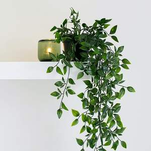 LY Home Room Decor Artificielle en Pot Verdure <span class=keywords><strong>Faux</strong></span> Eucalyptus Vigne Fougère Pothos <span class=keywords><strong>Lierre</strong></span> en Pot Herbe Verte Type Plante - Product Image 4
